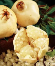 Three fruit from the White Pomegranate Tree - one cracked open to reveal a mass of white, fleshy arils.