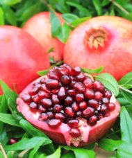 Four large, red fruit of the Wonderful Pomegranate Tree. One is cut open to reveal shiny, juicy looking deep red arils.