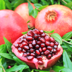 Four large, red fruit of the Wonderful Pomegranate Tree. One is cut open to reveal shiny, juicy looking deep red arils.
