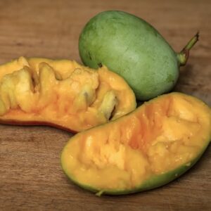 green KSU Atwood Pawpaw plant fruit in a man's hand.