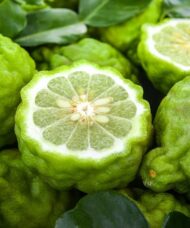 A pile of Bergamot Orange tree green fruits with green flesh.