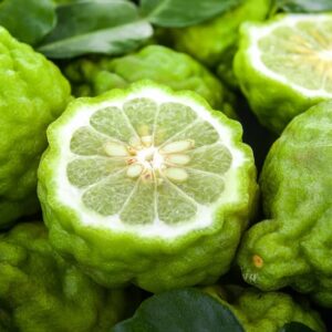 A pile of Bergamot Orange tree green fruits with green flesh.