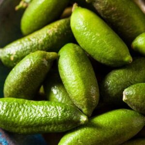 Australian Finger Lime tree green fruit showing white flesh on an elegant blue plate.