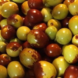 Brown and green Coco Chinese dates.