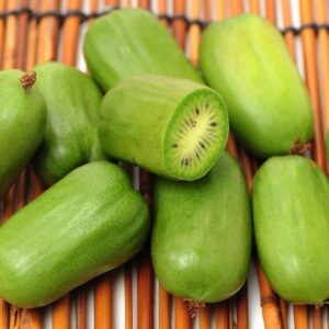 Jumbo Hardy Kiwi plant bite-sized green fruits.