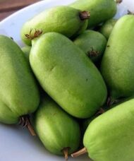 A bowl of bite-sized Kiwi Berry Plant green fruits.