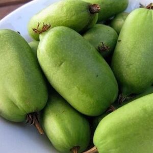 A bowl of bite-sized Kiwi Berry Plant green fruits.