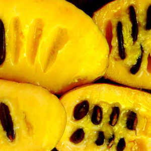 Mango Pawpaw Tree fruit cut in half to reveal deep mango coloured flesh.