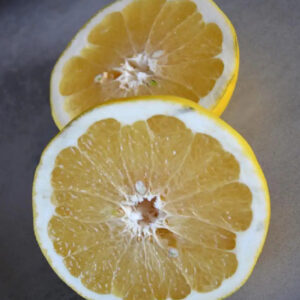 yellow fruits.