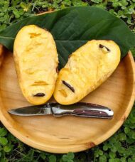 Paw Paw Tree fruit on a wooden bowl
