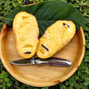 Paw Paw Tree fruit on a wooden bowl