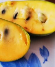 Pawpaw plant fruit with golden flesh.