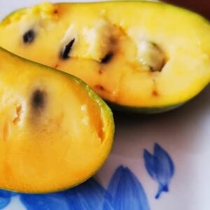 Pawpaw plant fruit with golden flesh.