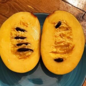 Sunflower paw paw fruit tree creamy golden orange fleshed fruit.