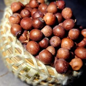 A small basket of brown Ziziphus jujuba zigzag fruits.
