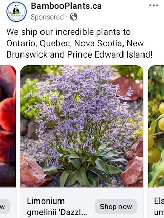 Facebook Widget Image